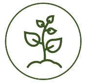 100% Natural & Herbal Medicines